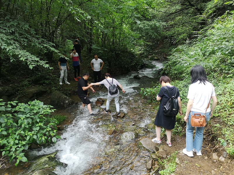 ���݅^���Y���F�_չ�cף���h98����ϵ�мo����(�D5)